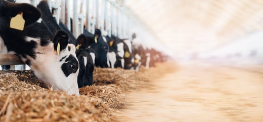 AdobeStock_686808701