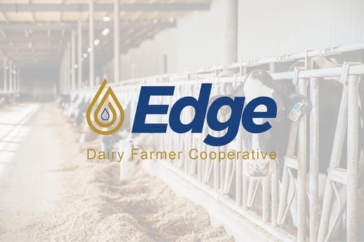 Edge blog cover