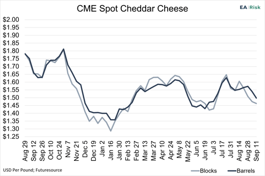 VOM_Cheese_091126