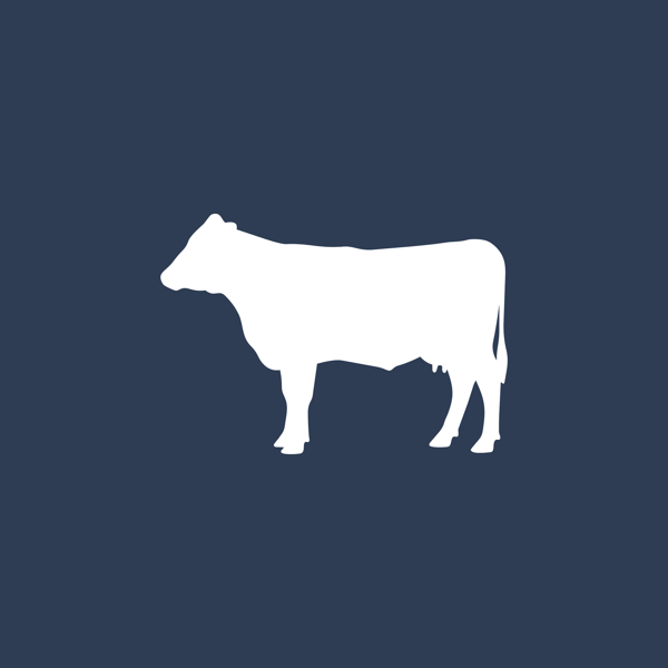 cow icon