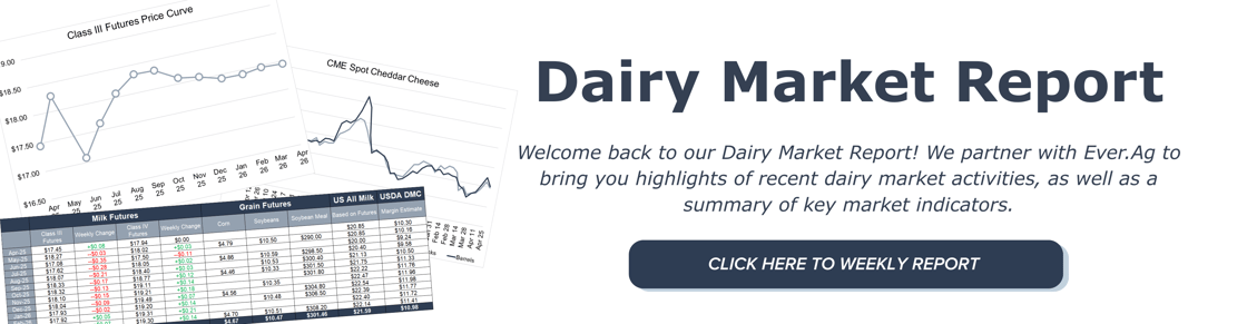 dairy market