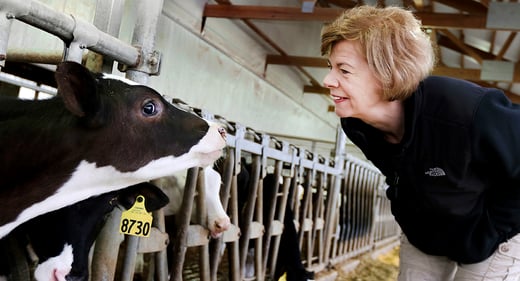 tammy baldwin